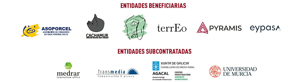 Frame cachamurasociacion (7)