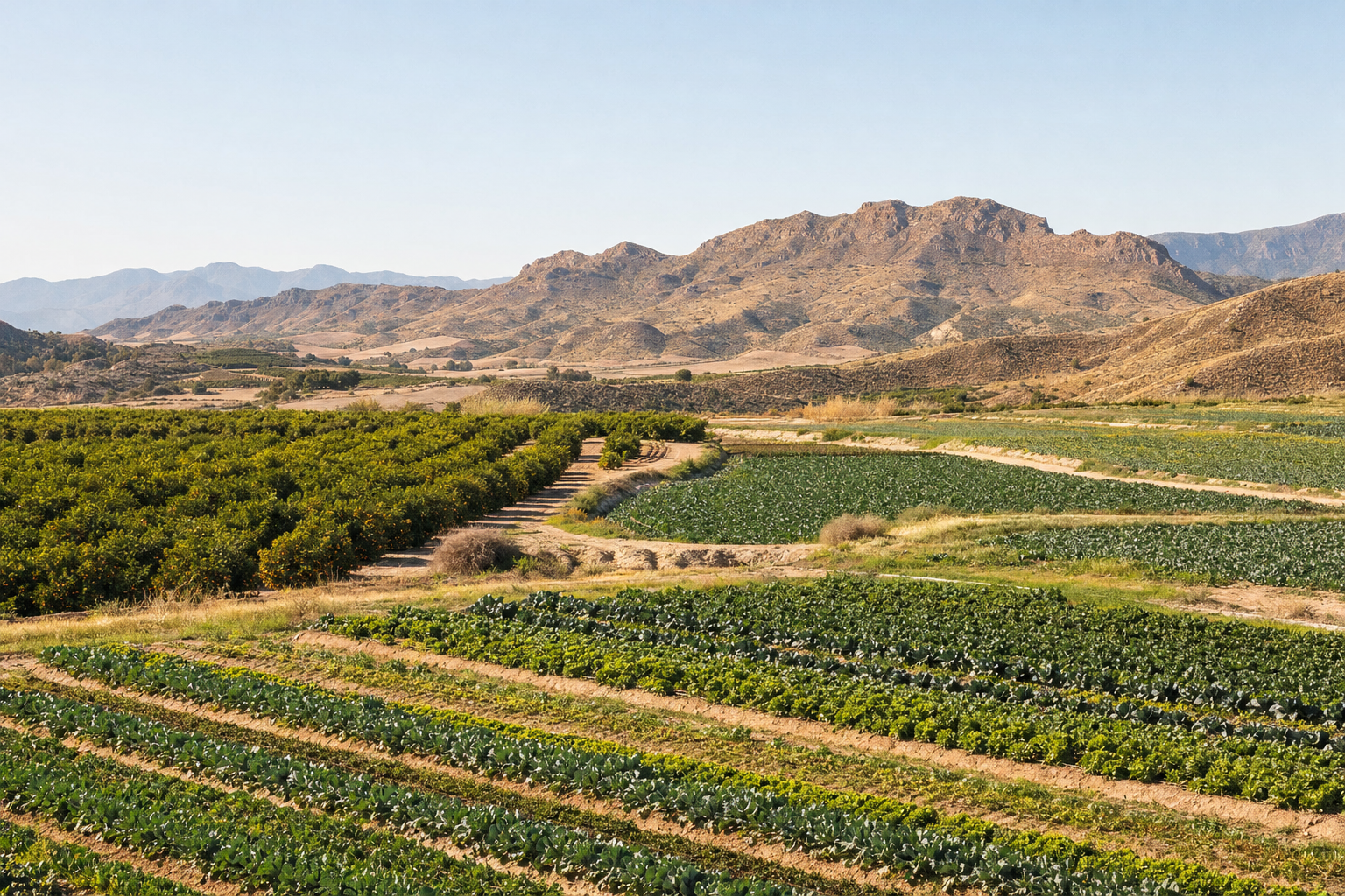 Paisaje agrícola ilustrativo de la huerta murciana, con cultivos y montes al fondo.